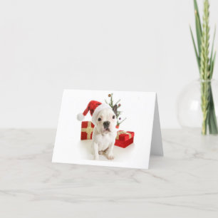 French bulldog Christmas greetings card
