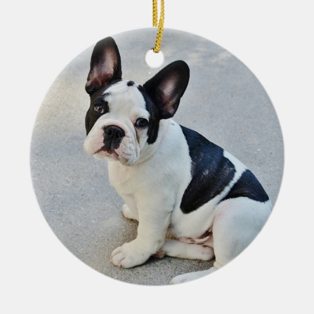French Bulldog Christmas Ornament With Your Photo (Front)