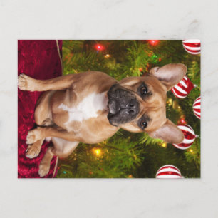 French Bulldog Christmas Postcard