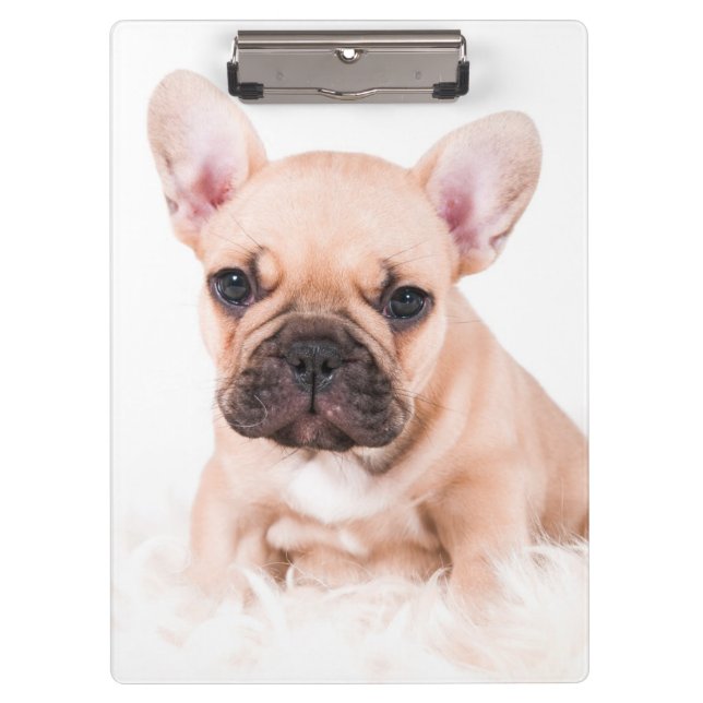 French Bulldog Clipboard (Front)