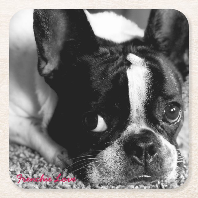 French Bulldog Coaster (Front)