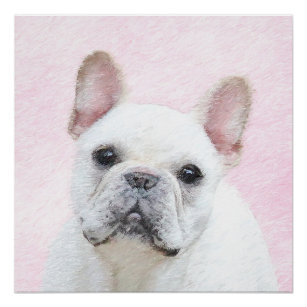 French Bulldog (Cream/White) Painting - Dog Art Poster