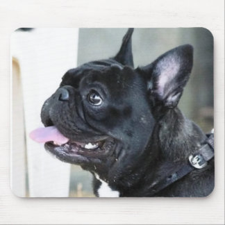 French bulldog dog mouse mat