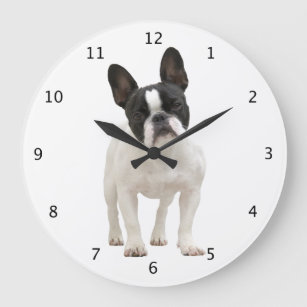 French Bulldog dog puppy cute beautiful photo Large Clock
