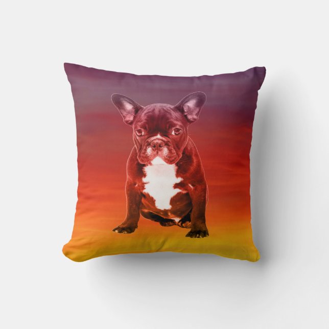 French Bulldog Dog Sitting On Beach Cushion (Front)