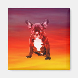 French Bulldog Dog Sitting On Beach Magnet