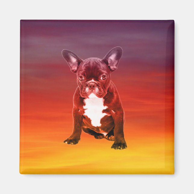 French Bulldog Dog Sitting On Beach Magnet (Front)