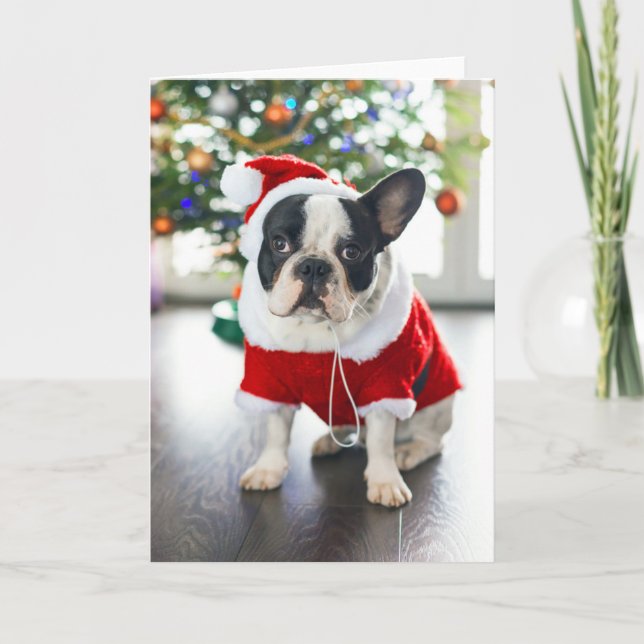 French Bulldog Dressed Up In Santa Costume Holiday Card (Front)