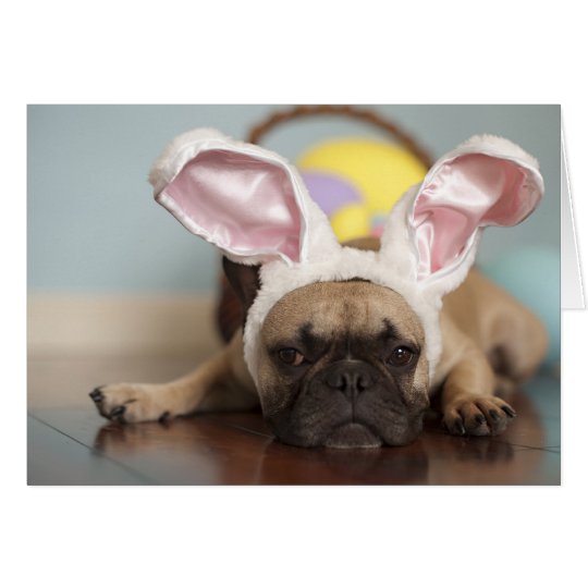 French Bulldog Easter Card! Card