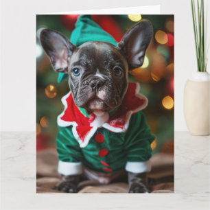 French Bulldog Elf Puppy Christmas Card