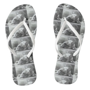 French Bulldog flip flops