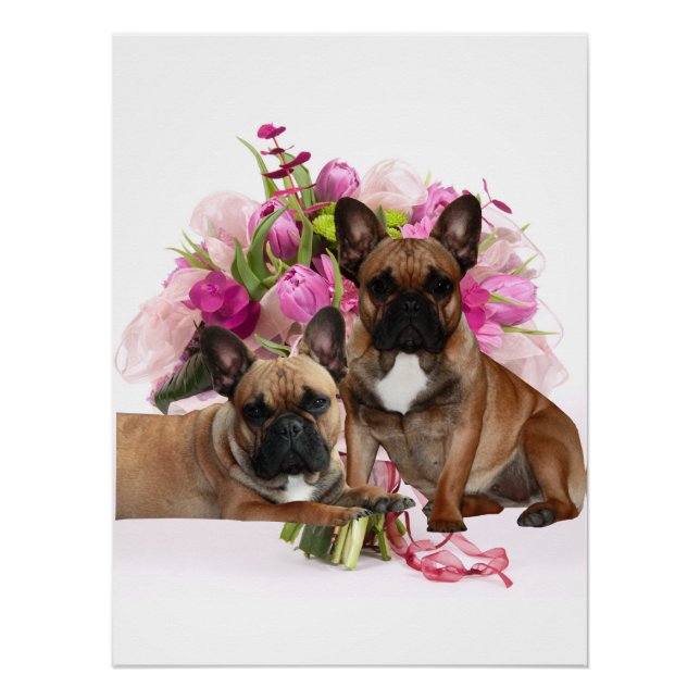 French Bulldog Flowers French Bulldog Celebration Poster (Front)