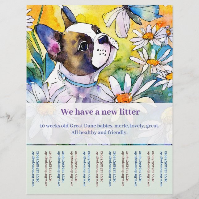 French Bulldog Flyer  (Front)
