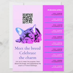 French Bulldog Flyer Meet & Greet
