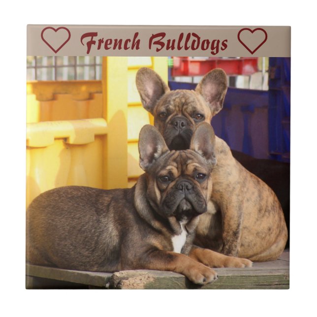 French Bulldog Friends French Bulldog Tile (Front)