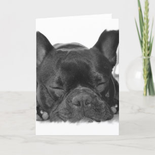 French Bulldog Greeting Card