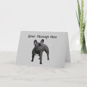 French Bulldog Greeting Card