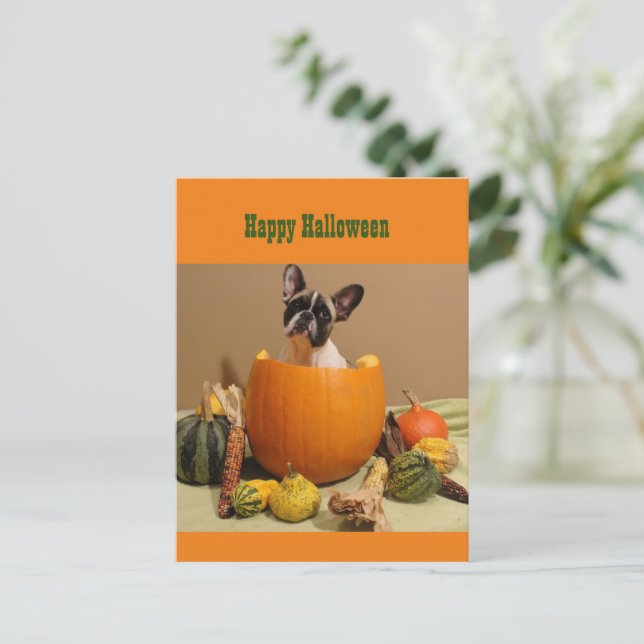French Bulldog Halloween Holiday Postcard (Standing Front)