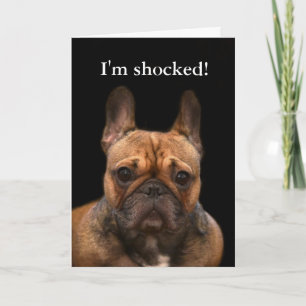 French Bulldog Happy Birthday Humour Card