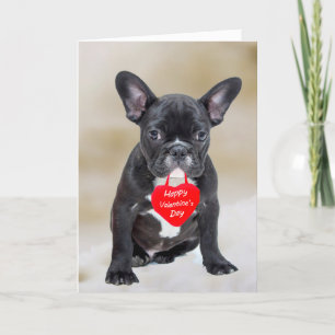 French Bulldog Happy Valentine's Day Greeting Card