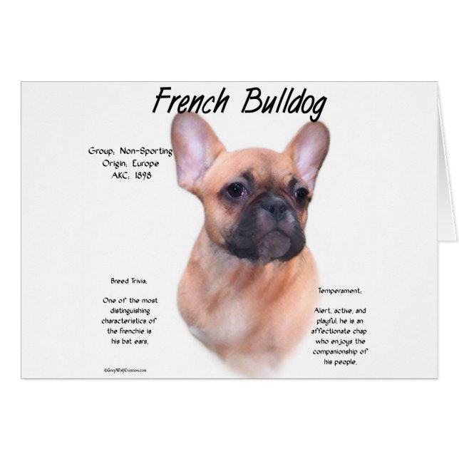 French Bulldog History Design (Front Horizontal)