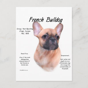 French Bulldog History Design Postcard