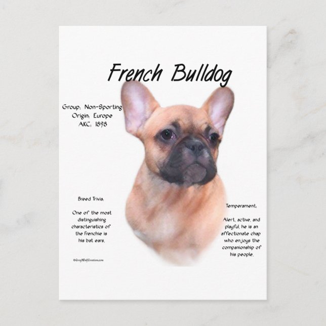 French Bulldog History Design Postcard (Front)