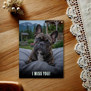 French Bulldog I Miss You Postcard