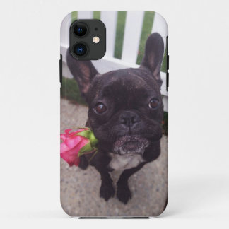 French Bulldog i-Phone 5/5S case