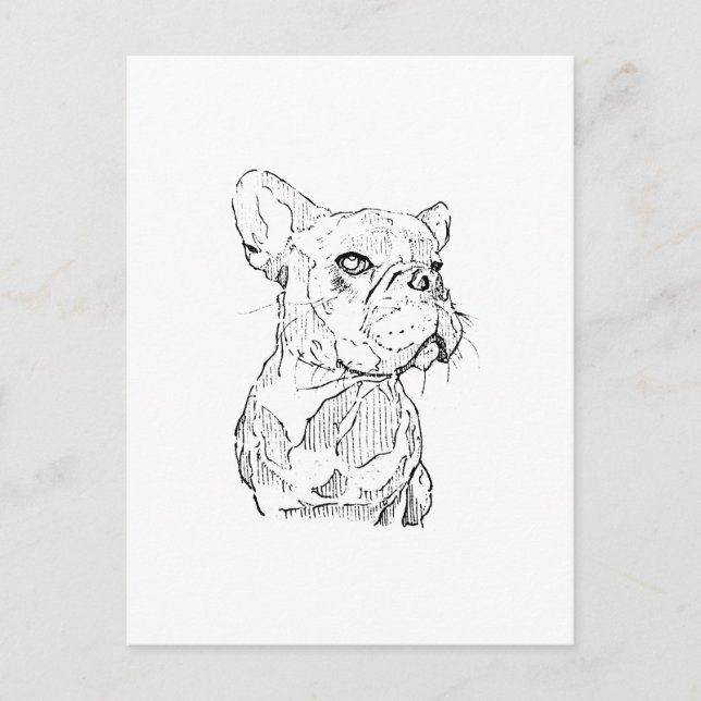 French Bulldog Illustration, Personalised Postcard (Front)