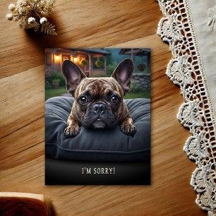 French Bulldog I'm Sorry Postcard