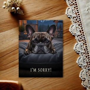French Bulldog I'm Sorry Postcard