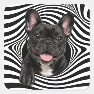 French Bulldog in Abstract Striped Hole Square Sticker
