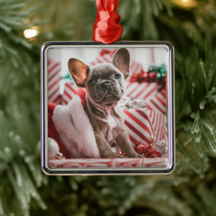 French Bulldog in Christmas Hat Metal Tree Decoration