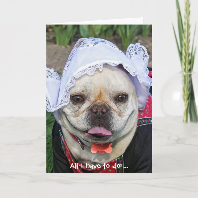 French Bulldog in Dutch cap thank you Card (Front)