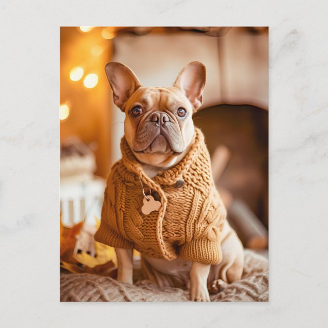 French Bulldog in Knitted Dog Attire Holiday Postcard (Front)