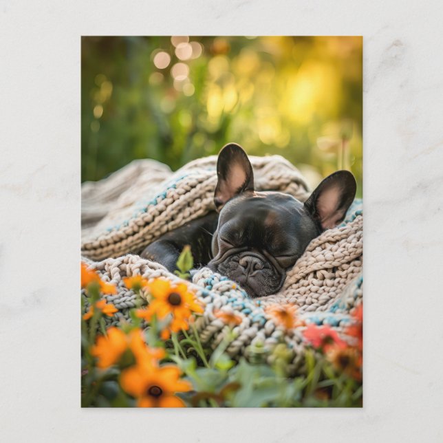 French Bulldog in Knitted Dog Attire Holiday Postcard (Front)