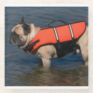 French_bulldog_in_life_jacket Glass Coaster