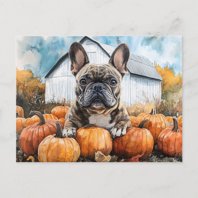 French Bulldog in Pumpkin Patch Postcard (Front)