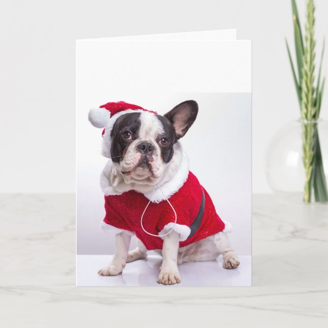 French Bulldog In Santa Costume For Christmas Holiday Card (Front)