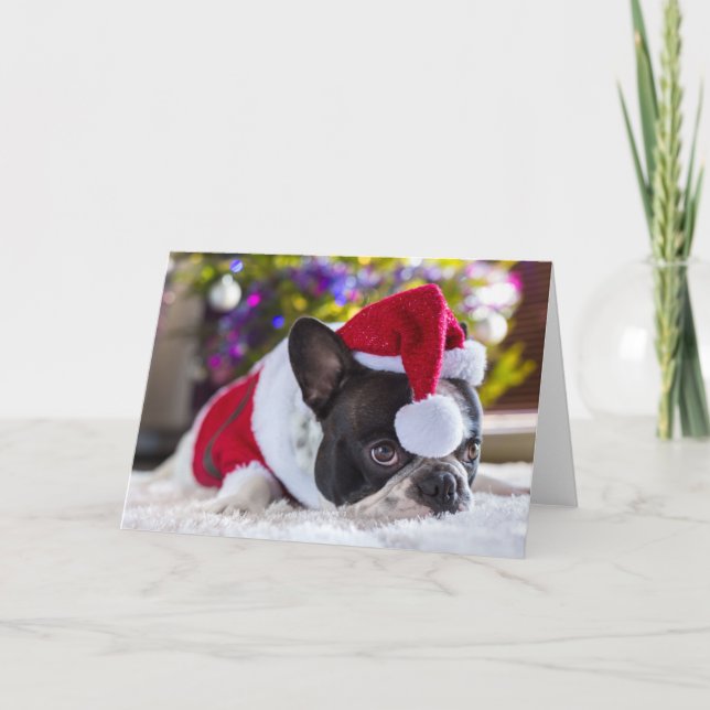 French Bulldog In Santa Hat Under Christmas Tree Holiday Card (Front)