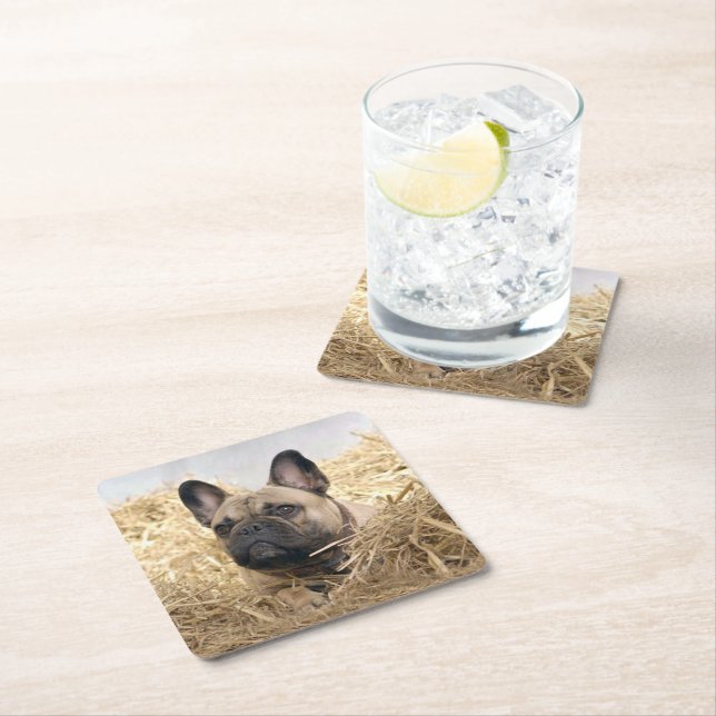French Bulldog in straw French Bulldog  Square Paper Coaster (Insitu)