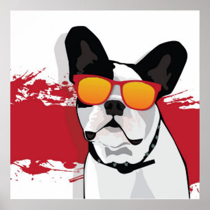 French Bulldog in Sunglasses Poster