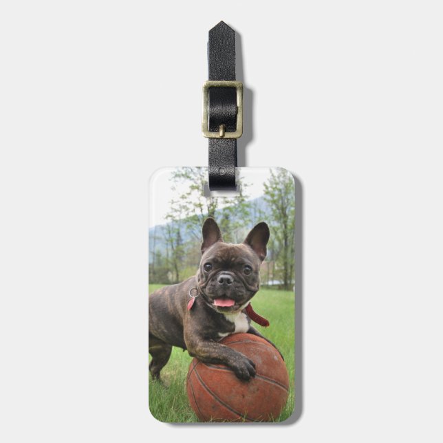 French Bulldog Insert Your Own Photo Luggage Tag (Front Vertical)