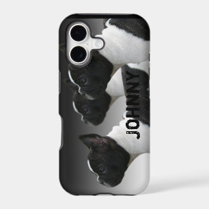 French Bulldog iPhone 5 Case