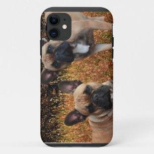 French Bulldog IPhone 5 Case Made