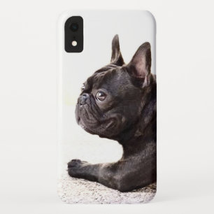 French Bulldog iPhone Xr case