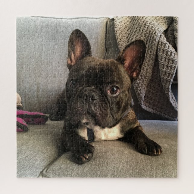 French Bulldog Jigsaw Puzzle (Vertical)