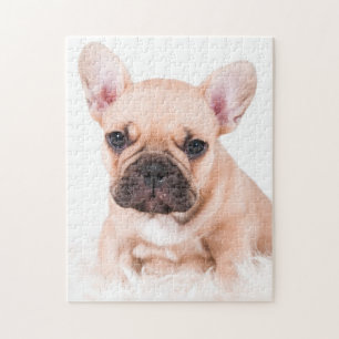French Bulldog Jigsaw Puzzle