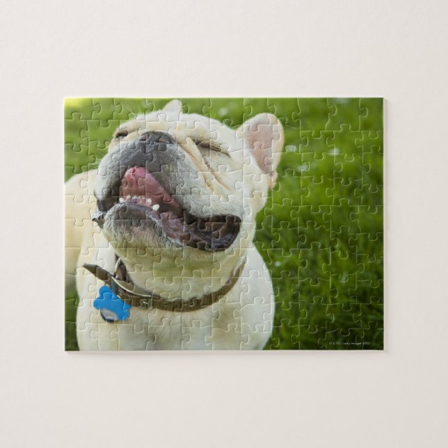 French Bulldog Jigsaw Puzzle (Horizontal)